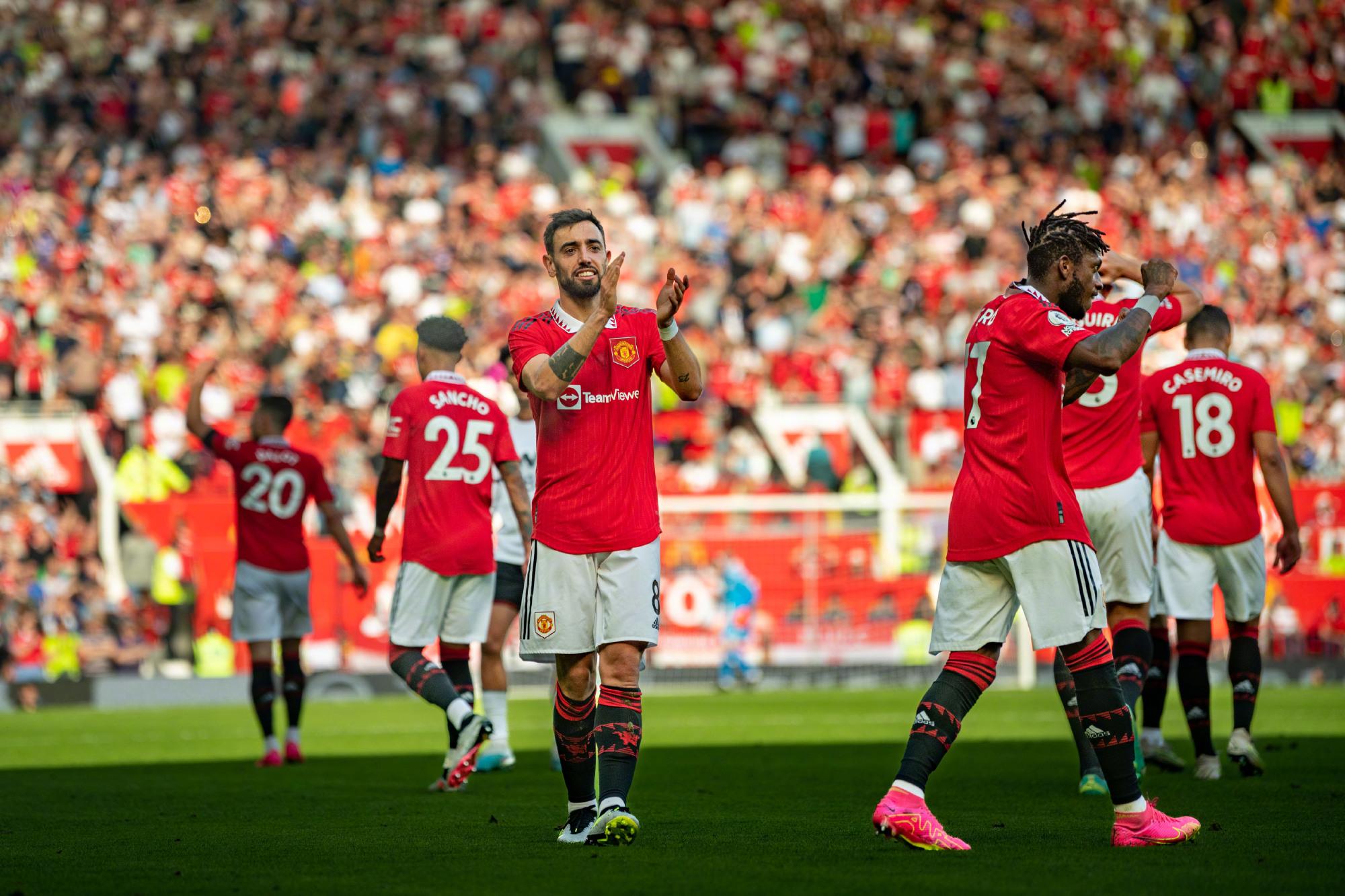 球分析師所 球分析師所